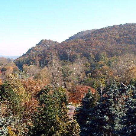 Bed and Breakfast Vadregeny Panzio Эстергом Экстерьер фото